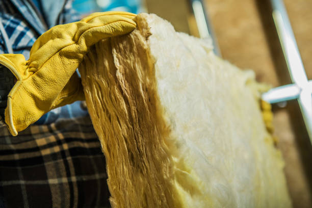 Best Cellulose Insulation  in Hardwick, GA